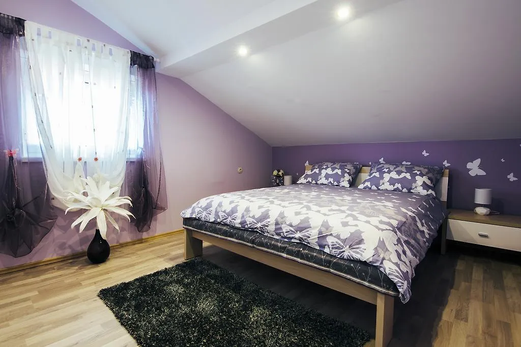 Apartment Dominik Bibinje